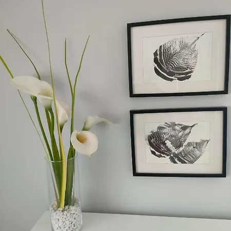 Claro De Luna Appartement *