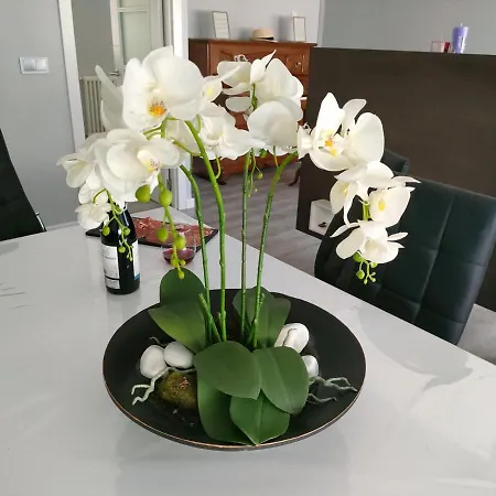 Claro De Luna Apartament