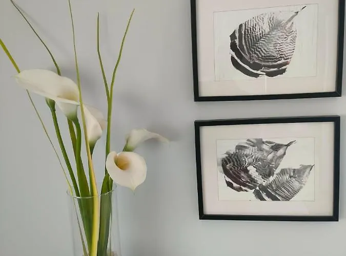 Claro De Luna Appartement *