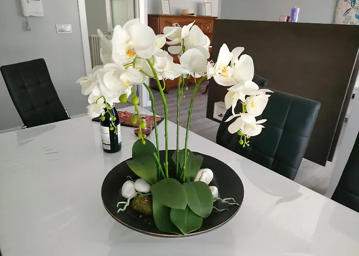 Claro De Luna Appartement